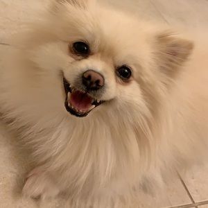 Meet your Posher, Ly